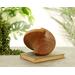 Handmade oak wood femisphere sculpture for sale